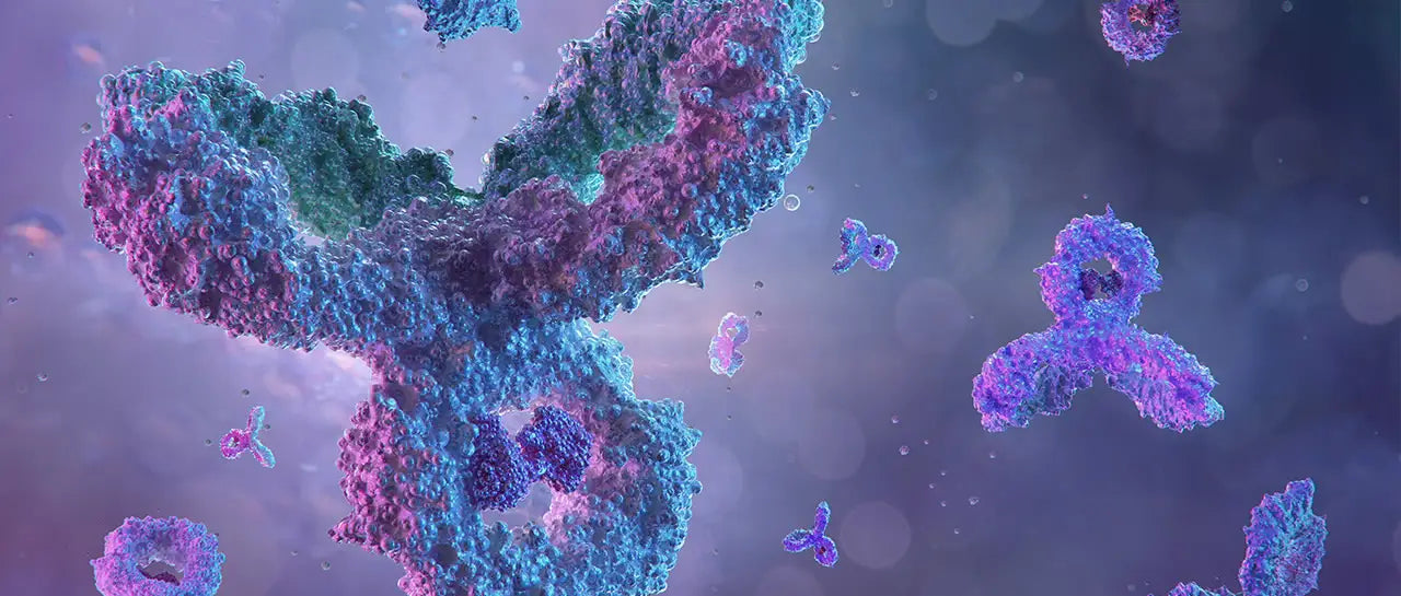 Agilent Biopharma HPLC Analysis