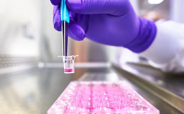 Merck Cell Culture & Cryogenics Collection