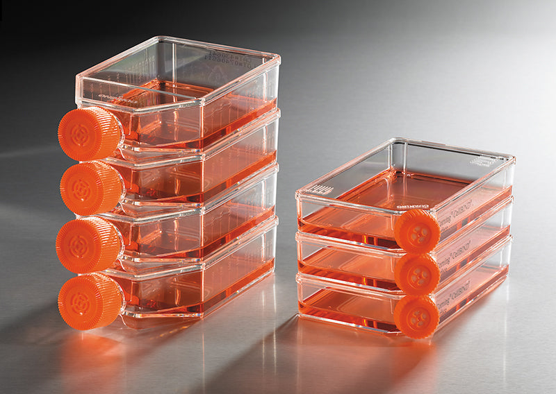 Corning Cell Culture Flasks & Plates for Reliable Cell Growth