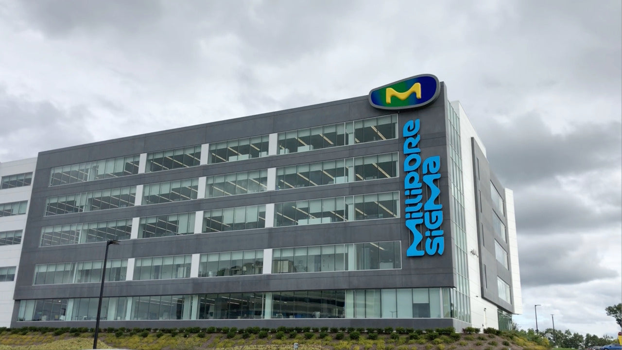 Merck Proteins & Enzymes: Nucleases, Albumins & High‑Purity Enzymes