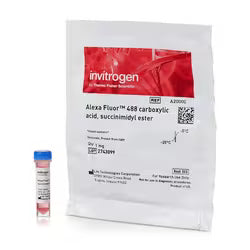 Thermo Fisher Primary Antibodies — Alexa Fluor & HRP Conjugates
