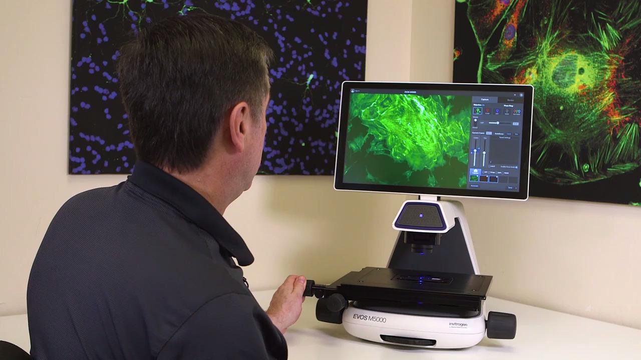 Thermo Fisher Cell Analysis Products: Viability, Apoptosis, ROS & Calcium Imaging Assays