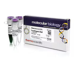 Thermo Fisher Enzymes & Inhibitors for PCR, Cloning & Protein Protection