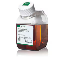 Thermo Fisher Blood & Serum: Gibco FBS, PBMC, and Typing Kits