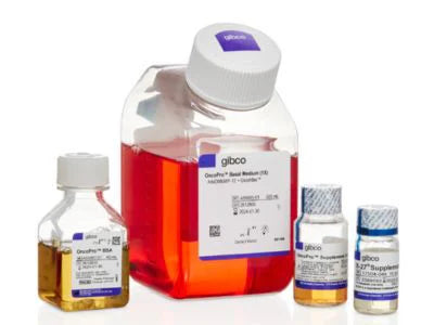 Thermo Fisher Cell Culture Media for Maintenance, Expression & Stem ...