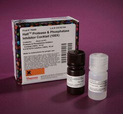 Thermo Fisher Proteins & Peptides: Reagents, Kits & Standards