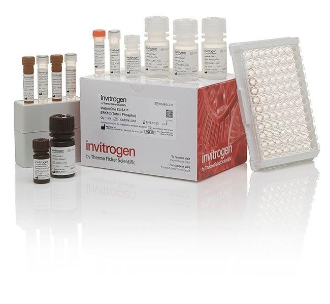 Thermo Fisher Immunoassay Reagents & Kits: ELISA, Multiplex, Plates & More