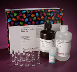 Thermo Fisher Protein Analysis Reagents for Western Blot, ELISA & Proteomics