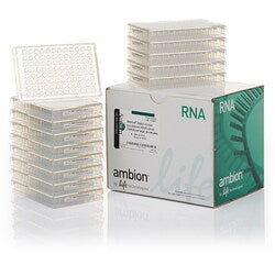 Thermo Fisher RNAi & RNA Reagents for Reliable Gene Silencing