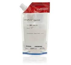 Thermo Fisher Gel Electrophoresis: Agarose Gels, SDS-PAGE & Blotting