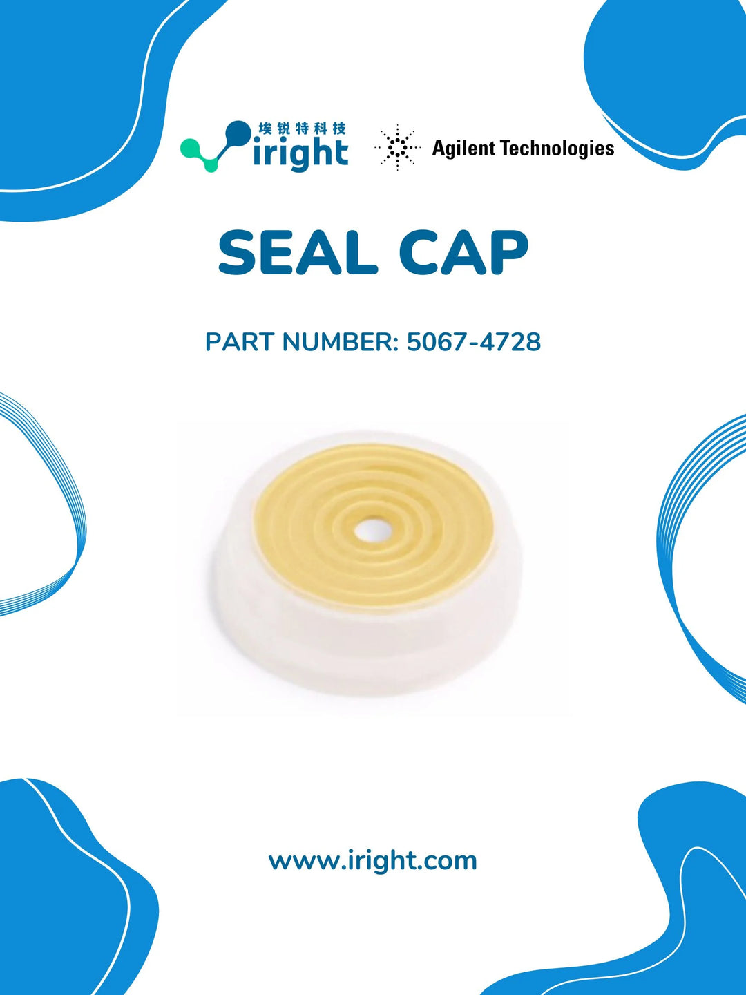 Seal cap