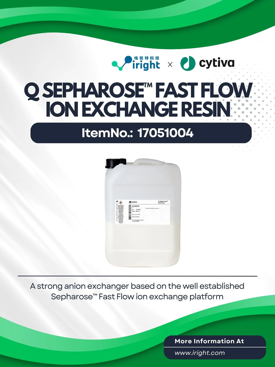 Q Sepharose™ Fast Flow