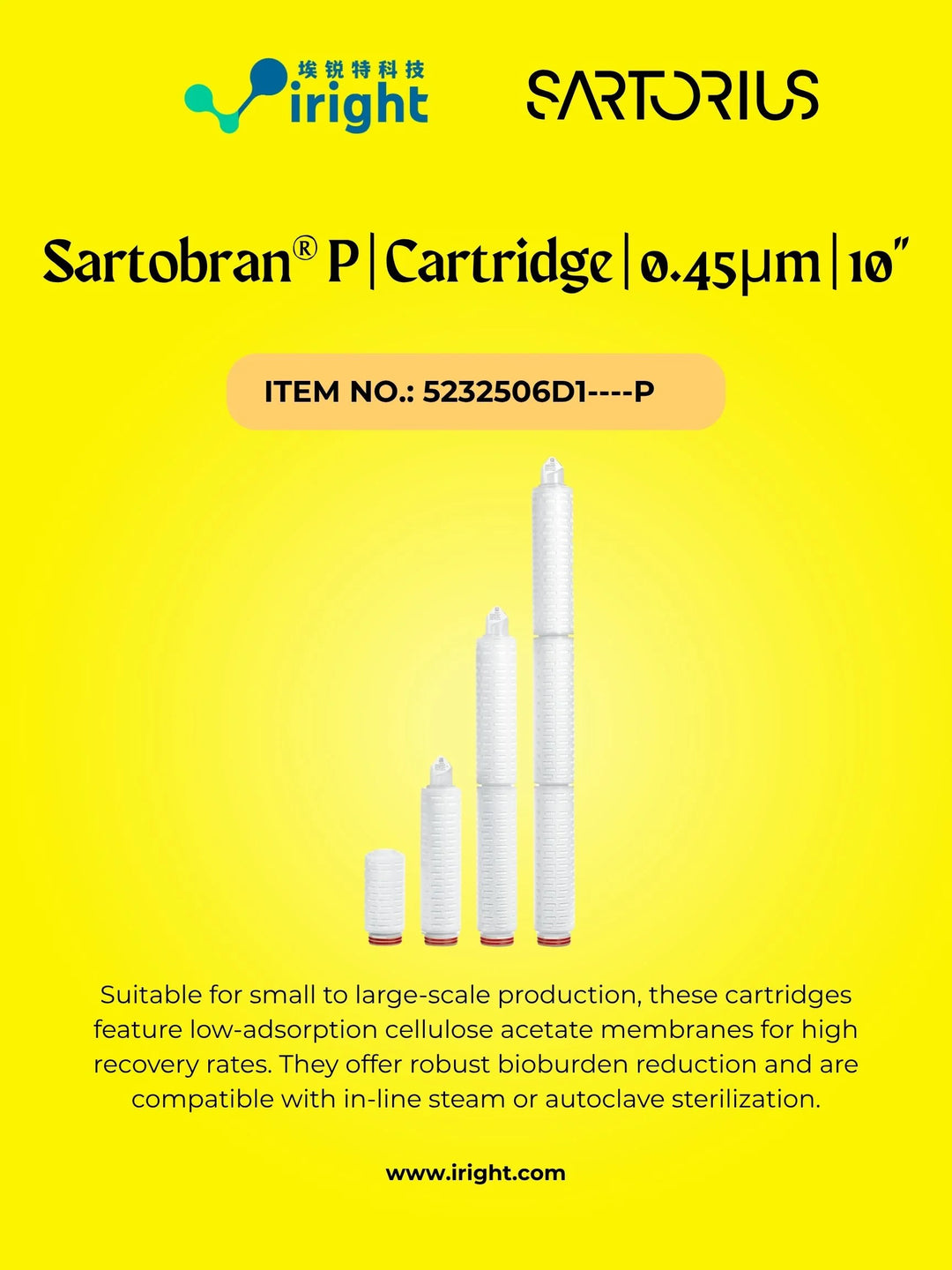 Sartobran® P | Cartridge | 0.45µm | 10"