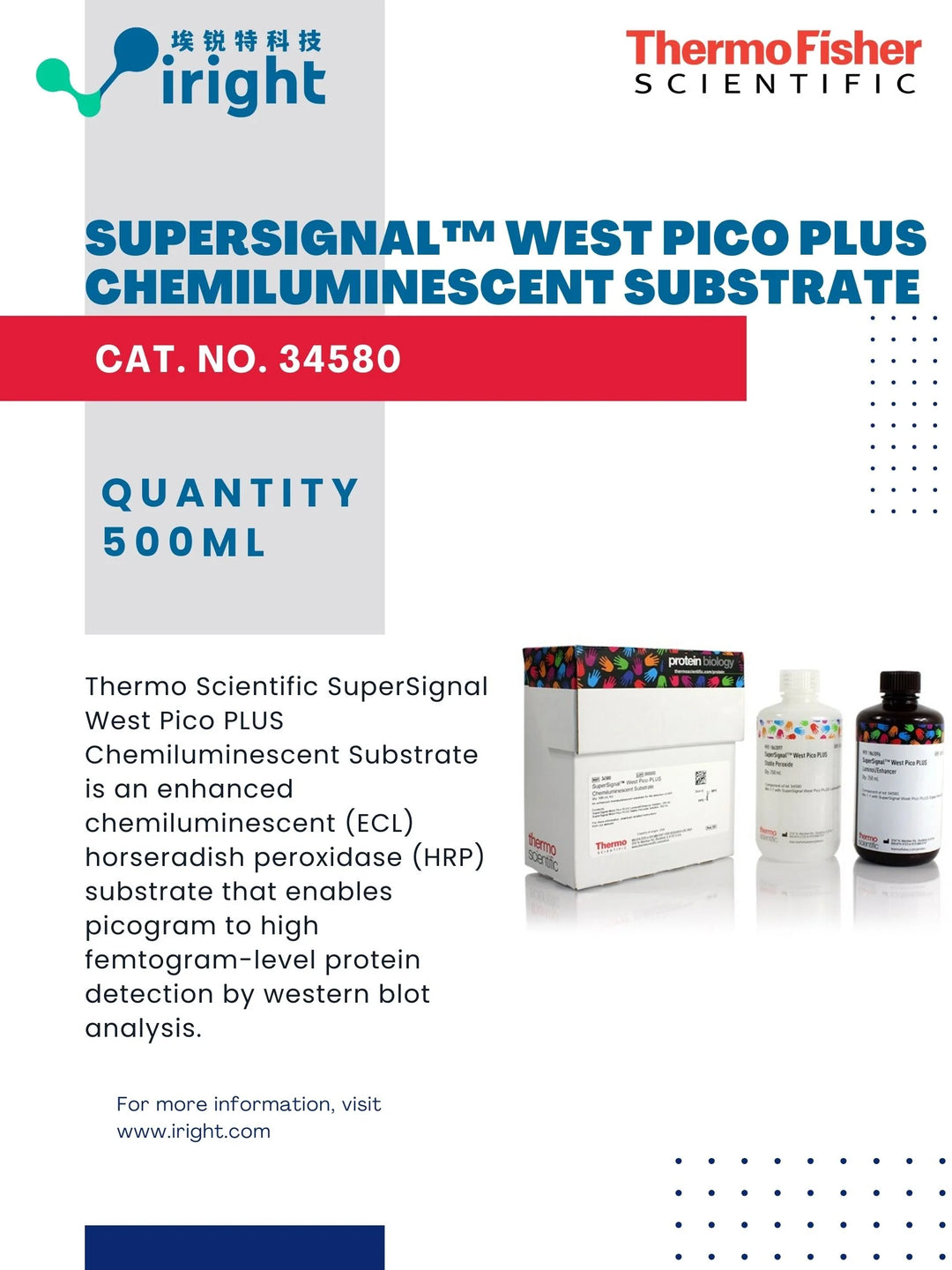 Thermo Fisher, 34580, SuperSignal™ West Pico PLUS Chemiluminescent Substrate Thermo Scientific™