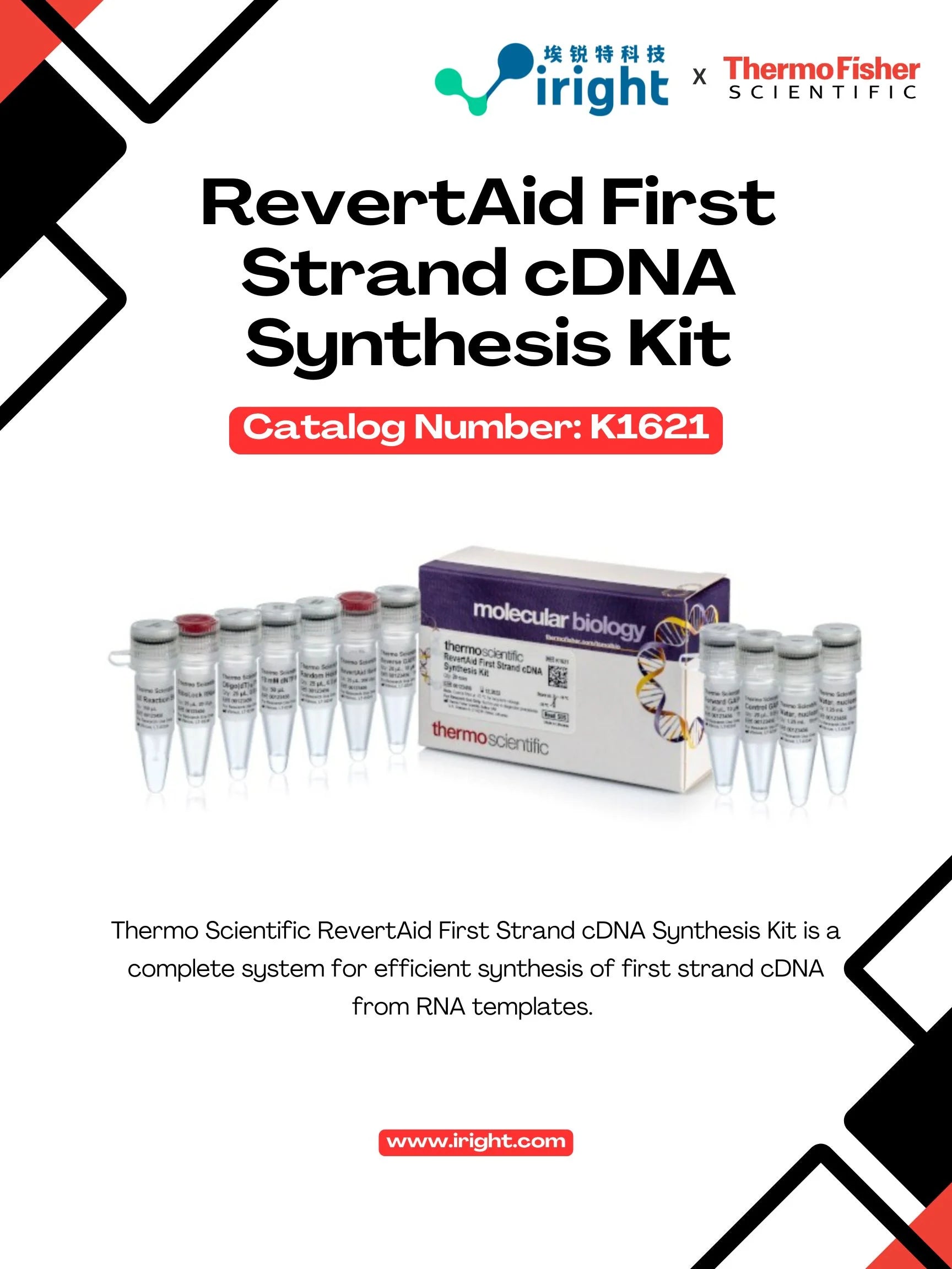 Thermo Fisher, K1621, RevertAid First Strand cDNA Synthesis Kit