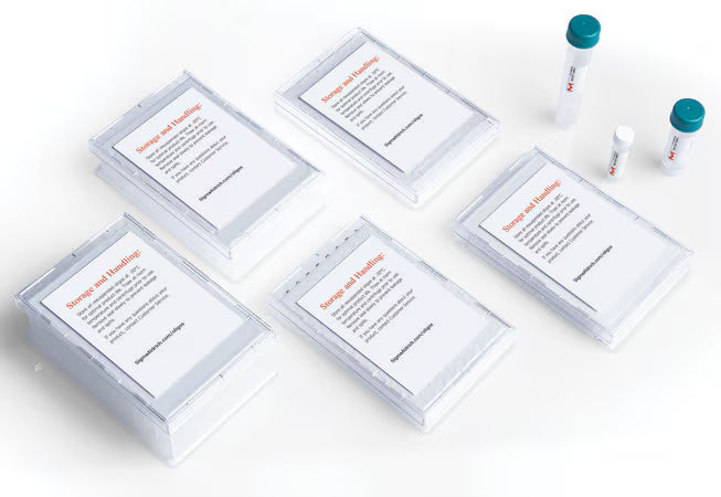 Merck, Sigma-Aldrich, VC00021N, Custom DNA Oligos