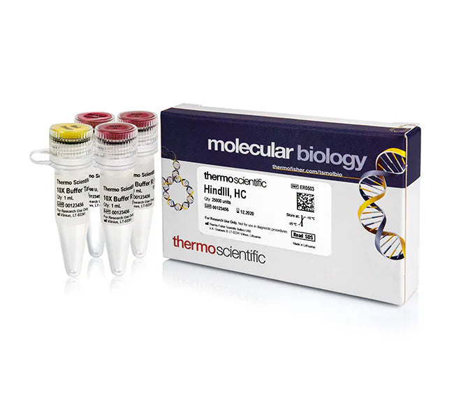 Thermo Fisher, ER0503, HindIII, HC (50 U/μL)