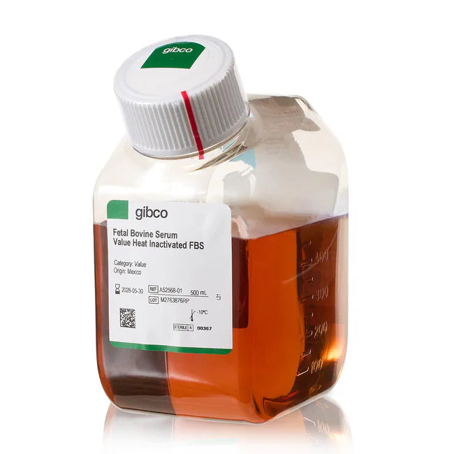 Thermo Fisher, Gibco, A5256801, Fetal Bovine Serum, Value